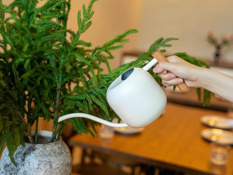 Green Moon Water Can Indoor Plant White 1.2L/41oz with Long Spout Small Water Can Metal Watering Can Pot for Indoor House Plant Bonsai Outdoor Garden Flowers Decorative - Image 4